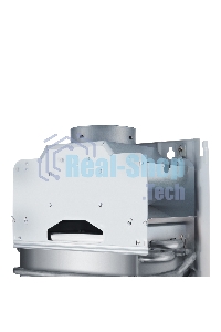 Колонка газовая Ballu GWH 10 Fiery Glass Curry