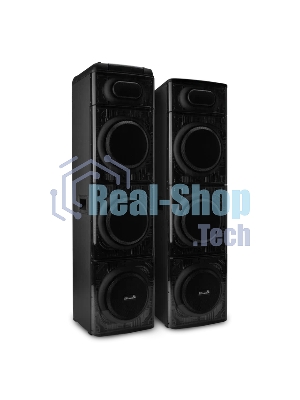 Колонка ELTRONIC 10