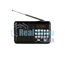 Радиоприемник PERFEO (PF_D0566) PALM, черный