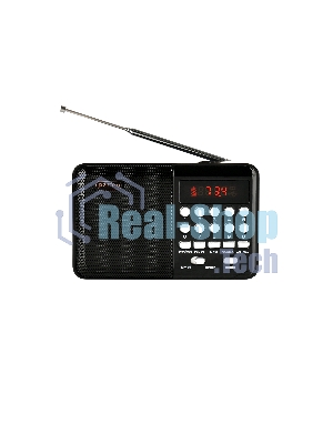 Радиоприемник PERFEO (PF_D0566) PALM, черный