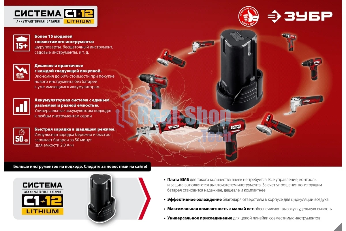 Пила сабельная Зубр 12В, 2 АКБ (2Ач), в коробке, СПЛ-125-22