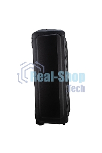 Колонка ELTRONIC (30-70) CRAZY BOX 2500 - 15