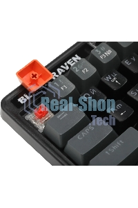 Клавиатура проводная Defender Black Raven GK-417, USB, черный