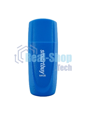 Флешка USB 2.0 Smartbuy 64Gb,Scout Blue (SB064Gb2SCB)