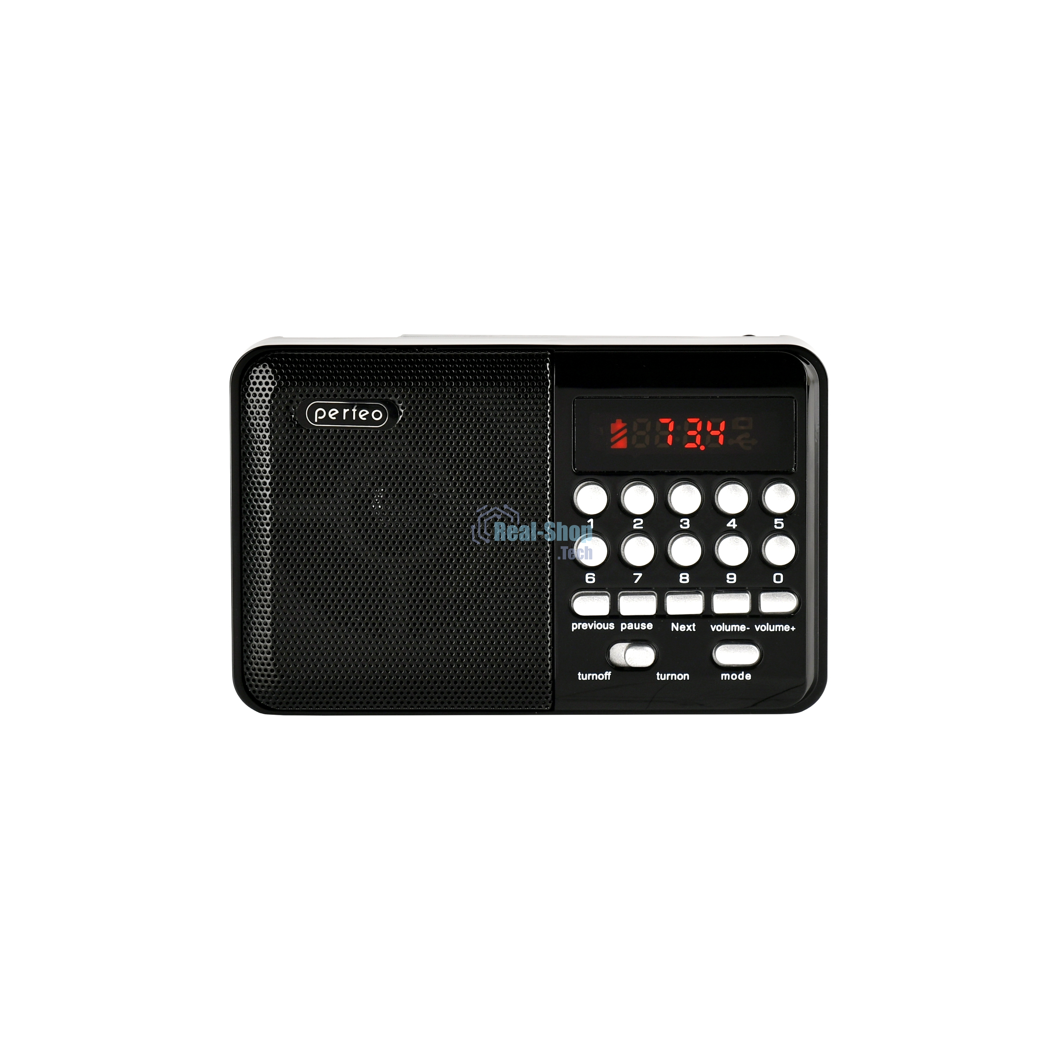 Радиоприемник PERFEO (PF_D0566) PALM, черный