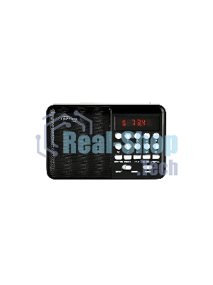 Радиоприемник PERFEO (PF_D0566) PALM, черный