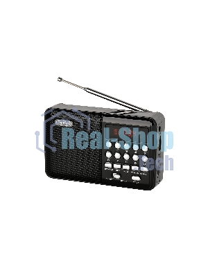 Радиоприемник PERFEO (PF_D0566) PALM, черный
