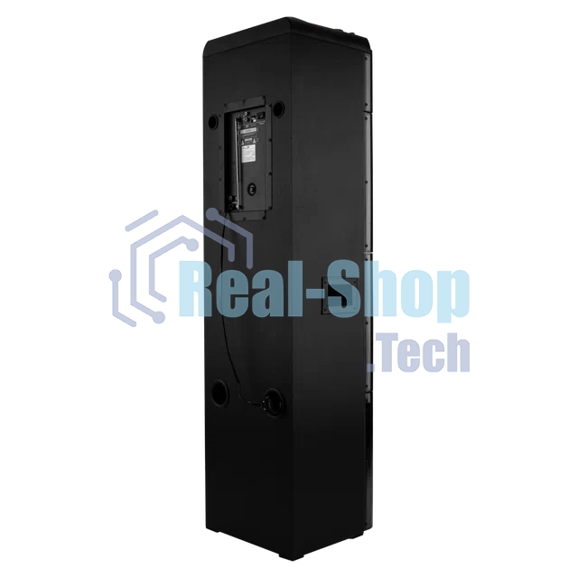 Колонка ELTRONIC 10