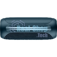 Колонка беспроводная Smartbuy (SBS-5590) MASTER, синий