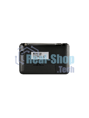 Радиоприемник PERFEO (PF_D0566) PALM, черный