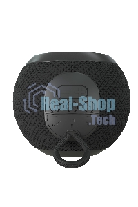 Беспроводная колонка MORE CHOICE (4610196409950) BS55 черный