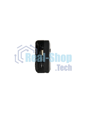 Радиоприемник PERFEO (PF_D0566) PALM, черный