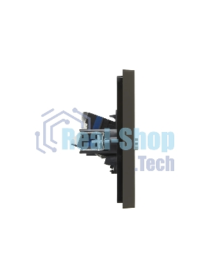 Розетка двойная TV+RJ45 кат.6 IEK FORTE&PIANO FP337 серый