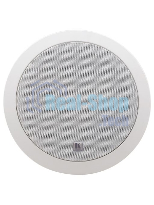 Пара двухполосных громкоговорителей, предназначенных для установки на потолке, с трансформатором; 6,5