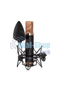 Профессиональный студийный ламповый микрофон Icon Space 251