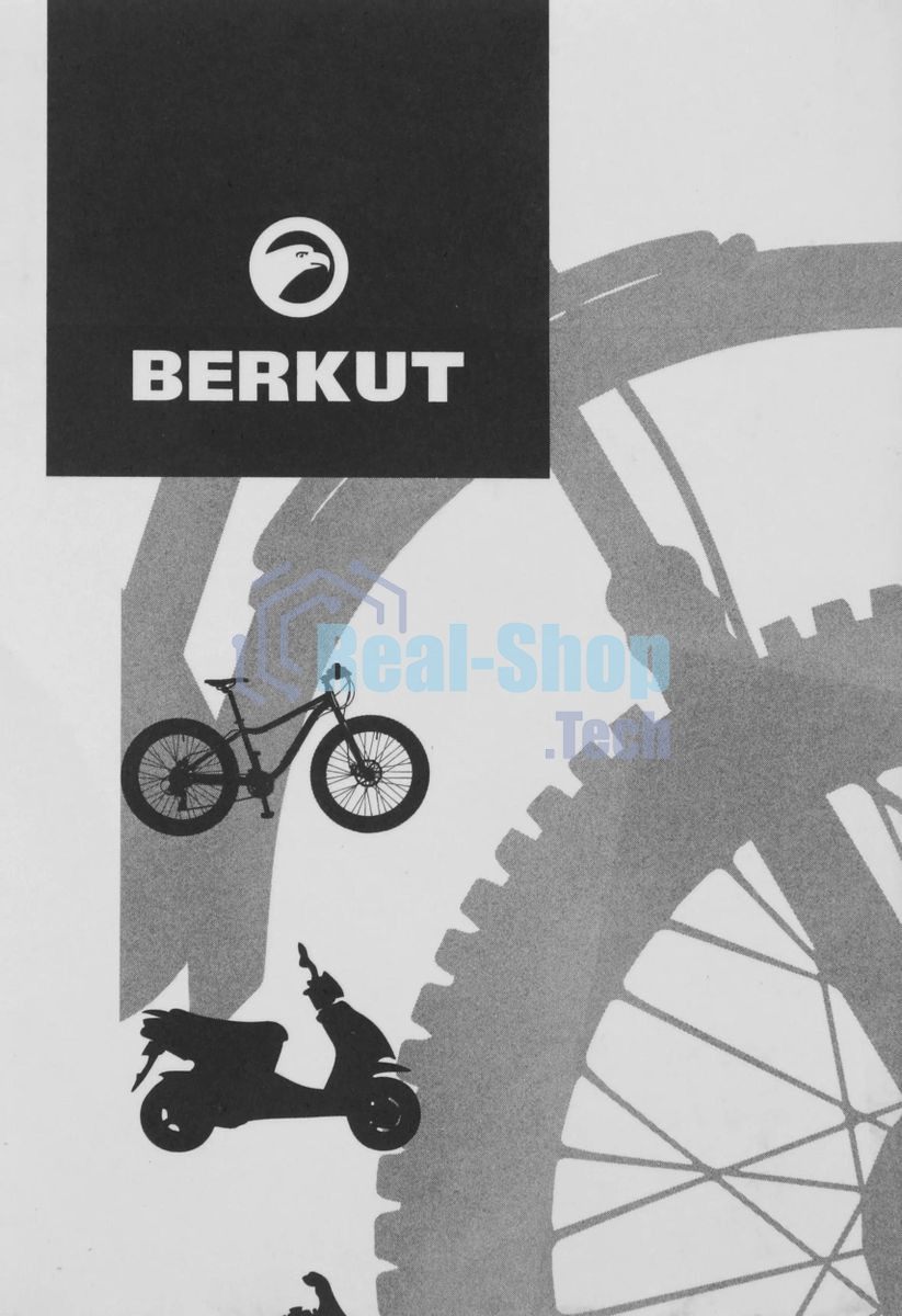 Автомобильный компрессор Berkut MT-1000 11л/мин шланг 0.05м