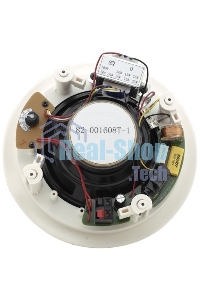 Пара двухполосных громкоговорителей, предназначенных для установки на потолке, с трансформатором; 6,5