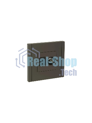 Розетка двойная TV+RJ45 кат.6 IEK FORTE&PIANO FP337 серый