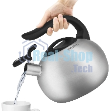 Чайник для плиты металлический Rondell Coupage RDS-1832 2.8 л. стальной