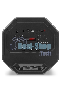 Мобильные колонки SVEN PS-655 2.0 черные (2x25W, mini Jack, USB Type-C, USB flash, Bluetooth, FM, micro SD, ПДУ, LED экран, 4400 мA, RGB подсветка)