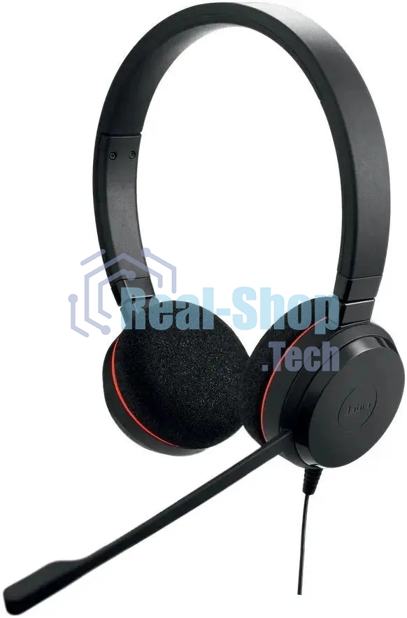 Наушники с микрофоном Jabra Evolve 20 MS Duo черный 1.2м накладные USB оголовье (4999-823-189)