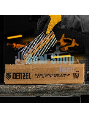 Гвозди Denzel для пнев. нейлера (оцинк.), длина - 75 мм, диам. - 3,05 мм, 2000 шт.