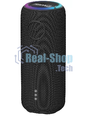 Портативная колонка AIWA (19177) PAS-H200 черный