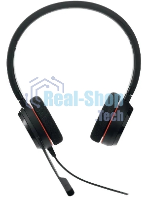 Наушники с микрофоном Jabra Evolve 20 MS Duo черный 1.2м накладные USB оголовье (4999-823-189)
