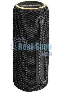 Портативная колонка AIWA (19177) PAS-H200 черный