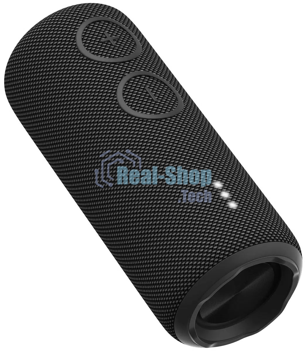 Портативная колонка AIWA (19177) PAS-H200 черный