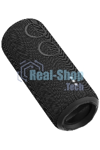 Портативная колонка AIWA (19177) PAS-H200 черный