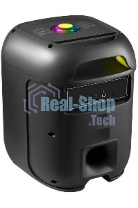 Акустическая система Defender Boomer 65