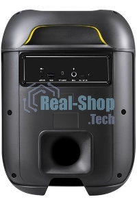 Акустическая система Defender Boomer 65