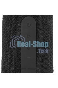 Колонка беспроводная AIWA (19179) PAS-H300 черный