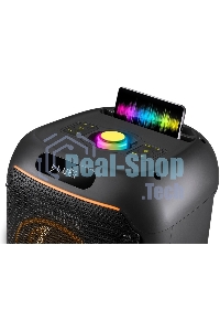 Акустическая система Defender Boomer 65