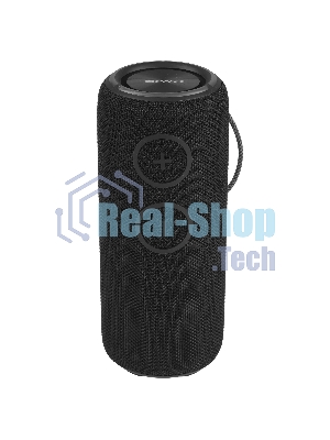 Колонка беспроводная AIWA (19179) PAS-H300 черный