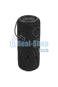 Колонка беспроводная AIWA (19179) PAS-H300 черный