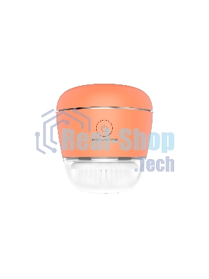 Щетка (д/очистки лица) Rowenta LV4010F0
