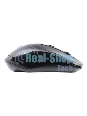 Мышь беспроводная Smartbuy (SBM-282AG-K) 282AG черный