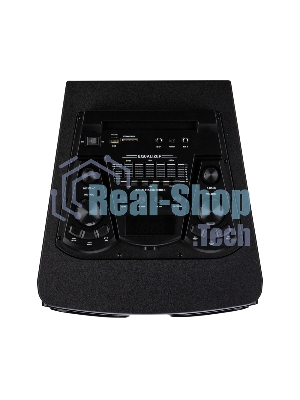 Колонка Eltronic (30-68) CRAZY BOX 4000 - 12