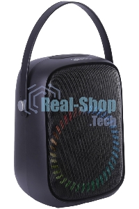 Портативная колонка AIWA PAS-Y600