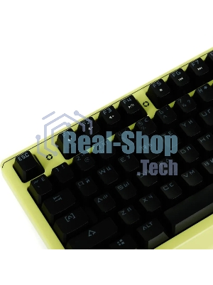 Клавиатура проводная A4Tech Bloody B810RC Punk USB желтый/черный