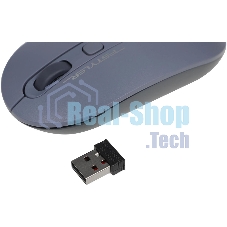 Мышь беспроводная A4Tech Fstyler FG20 пепельный/синий, 2000 dpi, радиоканал, USB, кнопки - 4