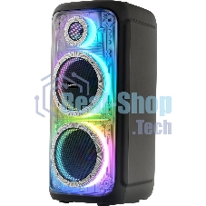 Портативная колонка AIWA CAS-810 (25336)