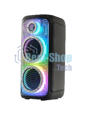 Портативная колонка AIWA CAS-810 (25336)