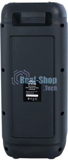 Портативная колонка RITMIX SP-875B черный