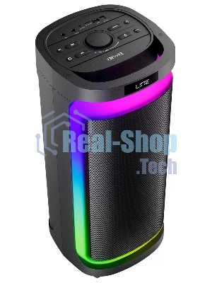 Акустическая система AIWA CAS-622