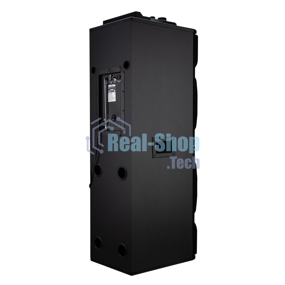 Колонка ELTRONIC (30-68) CRAZY BOX 4000 - 12