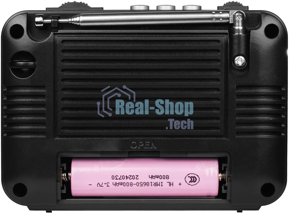 Радиоприемник Ritmix RPR-161