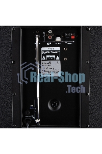 Колонка ELTRONIC (30-68) CRAZY BOX 4000 - 12